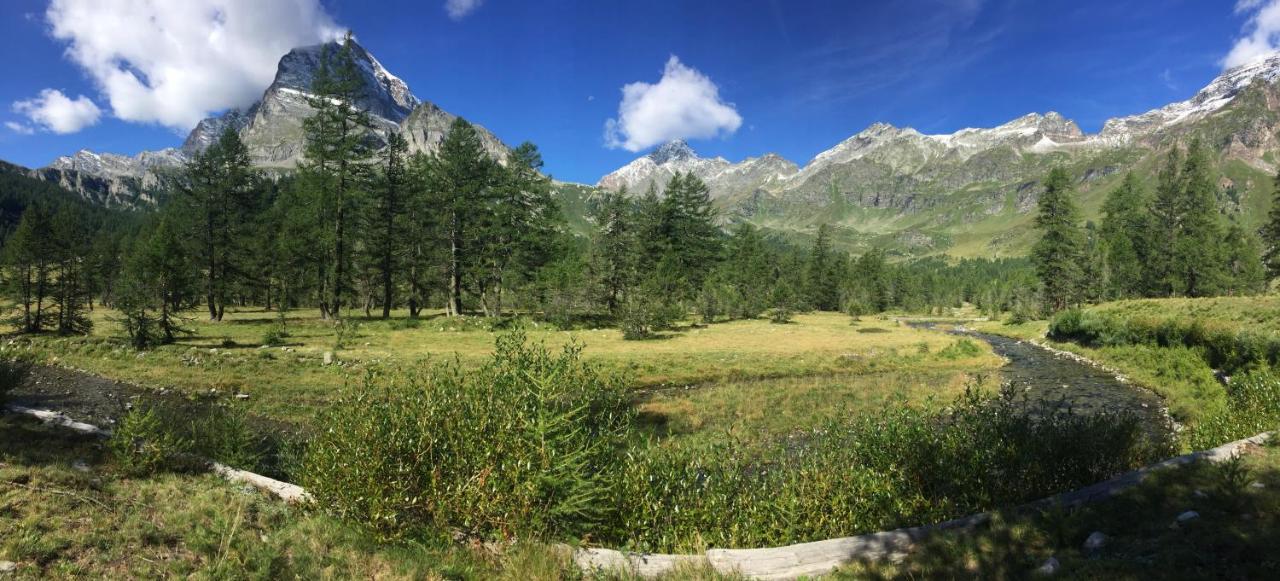 Casa Vacanza In Tipico Chalet Di Montagna Villa Varzo Exterior foto